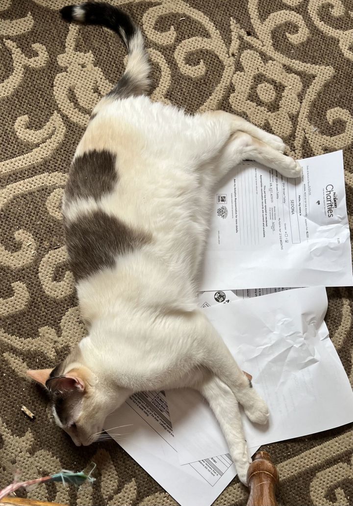 Zut (Grand Junction) 3