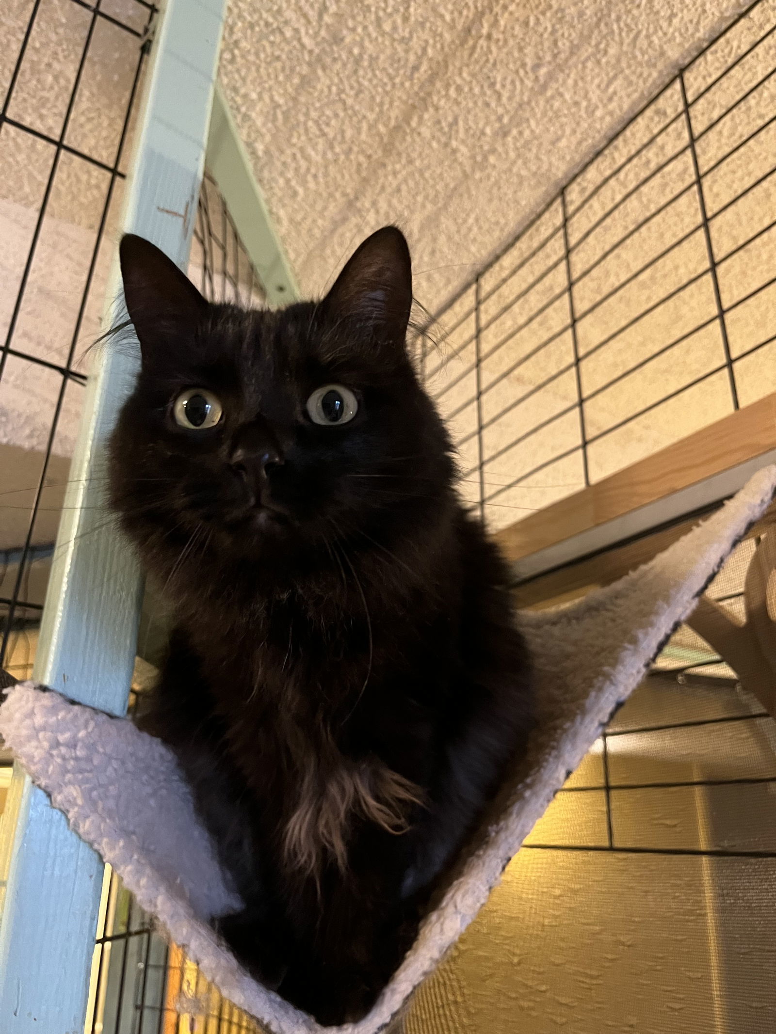 Sabrina (Grand Junction)