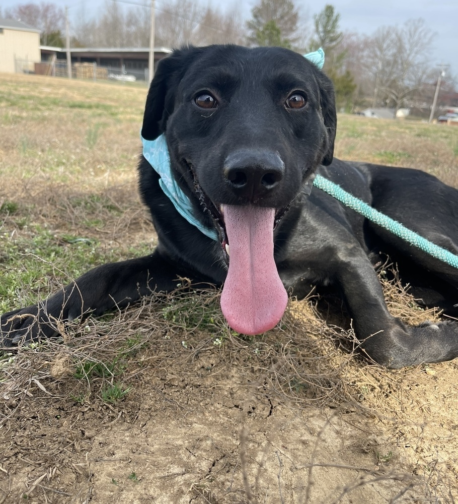 Murphy
