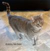 Bobby McGee photo 2