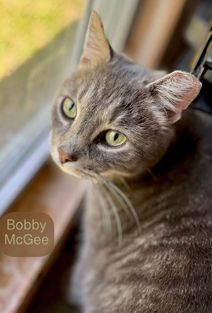 Bobby McGee 6
