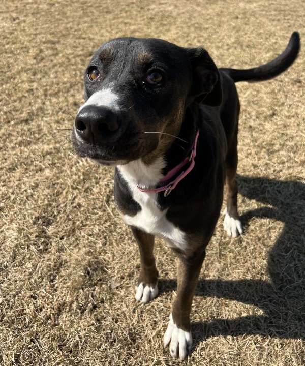 Chloe