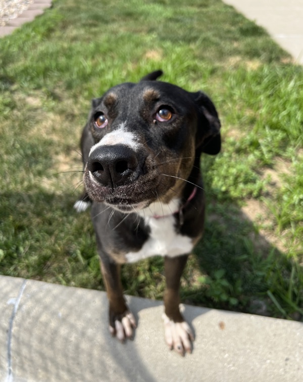 Chloe