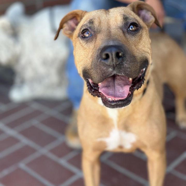 Mariane Thornberry 2