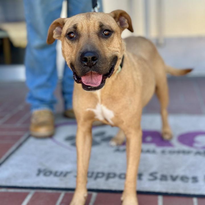 Mariane Thornberry 3