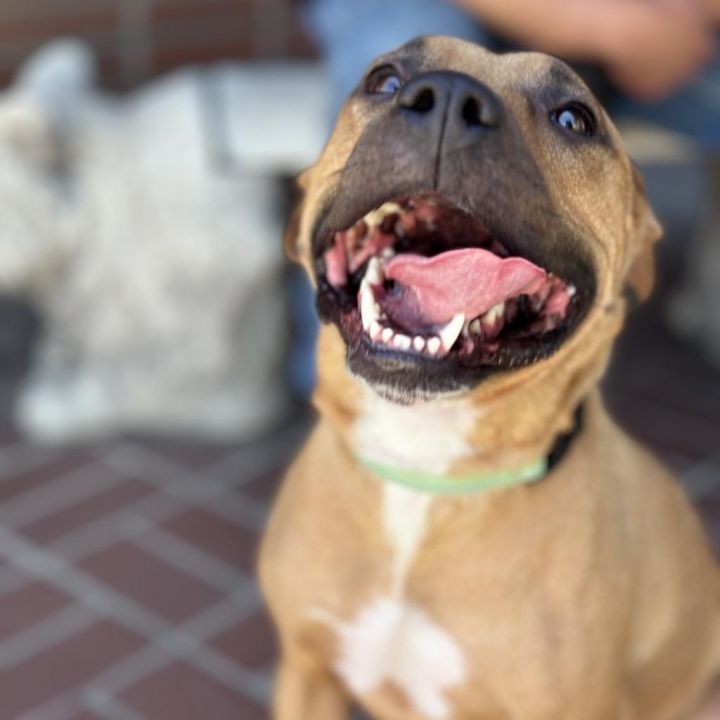 Mariane Thornberry 4