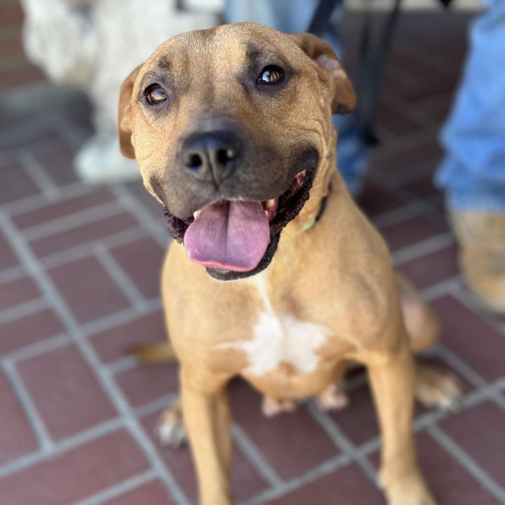 Mariane Thornberry 5