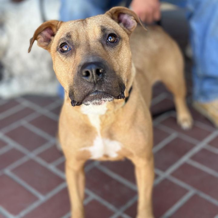 Mariane Thornberry 6