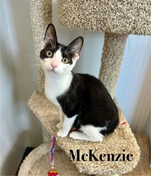 McKenzie, Baby Male unknown