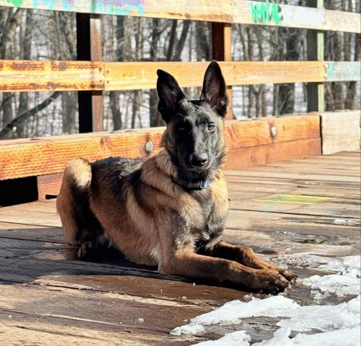 Hans - Located in MN 1