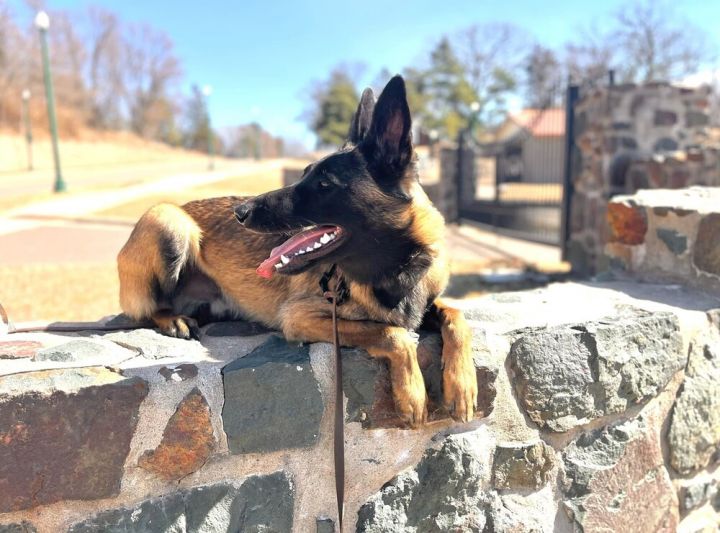 Hans - Located in MN 2