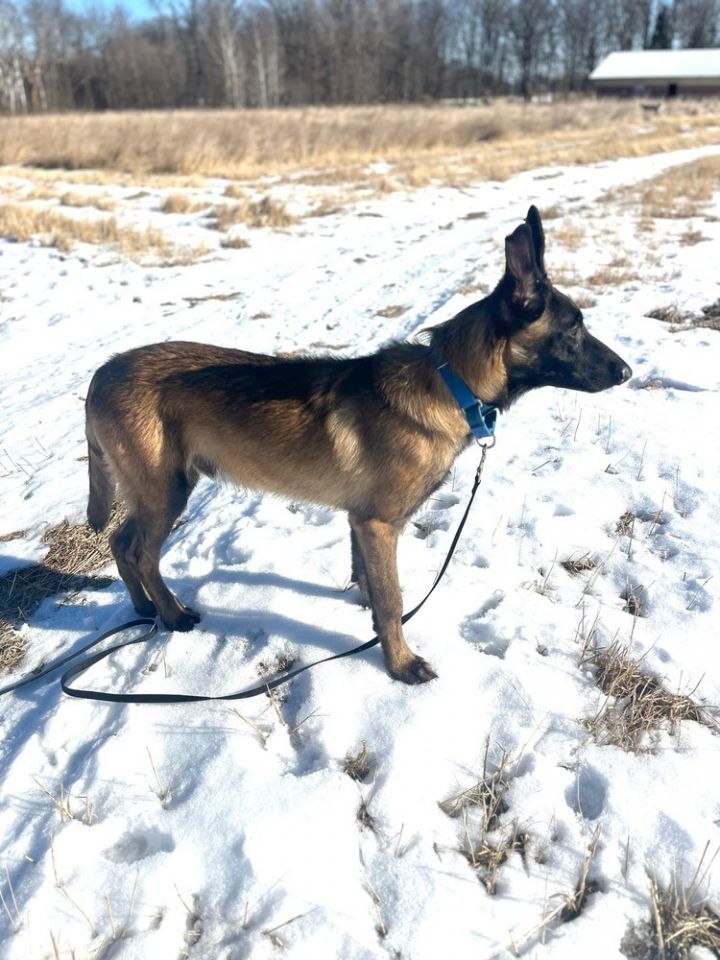 Hans - Located in MN 4