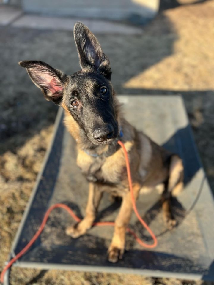 Hans - Located in MN 6