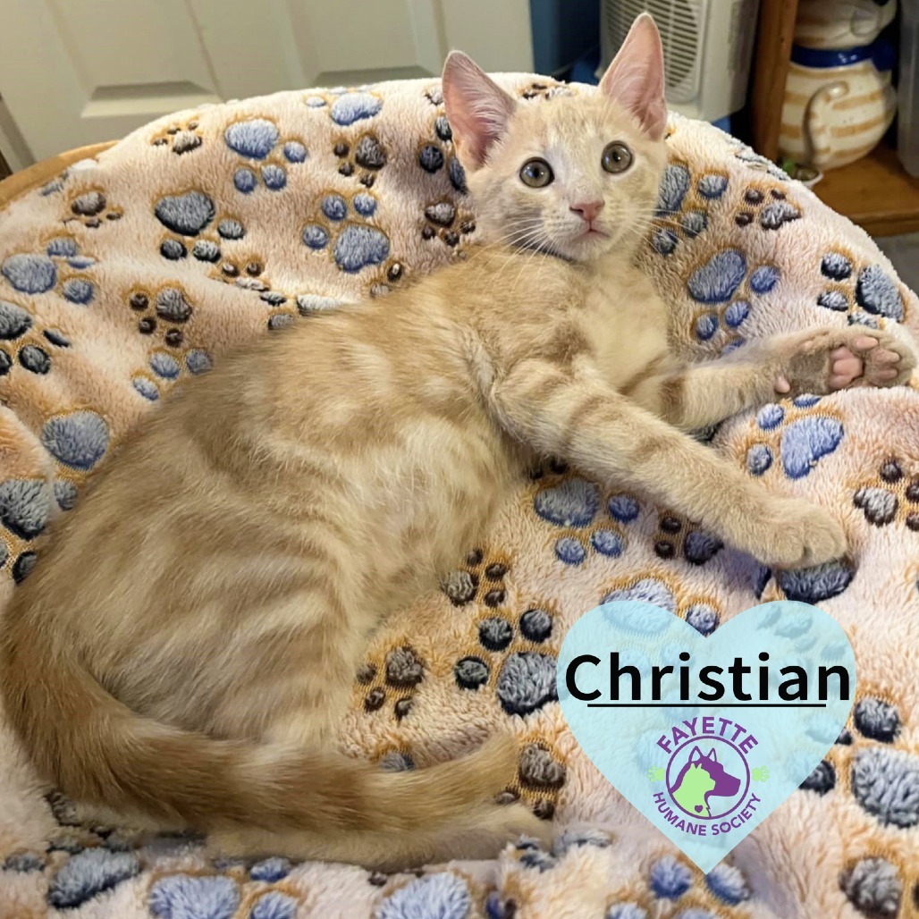 Christian
