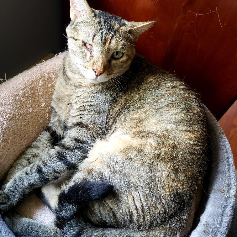 Wanda