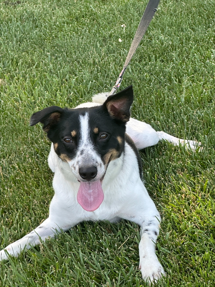 Luna