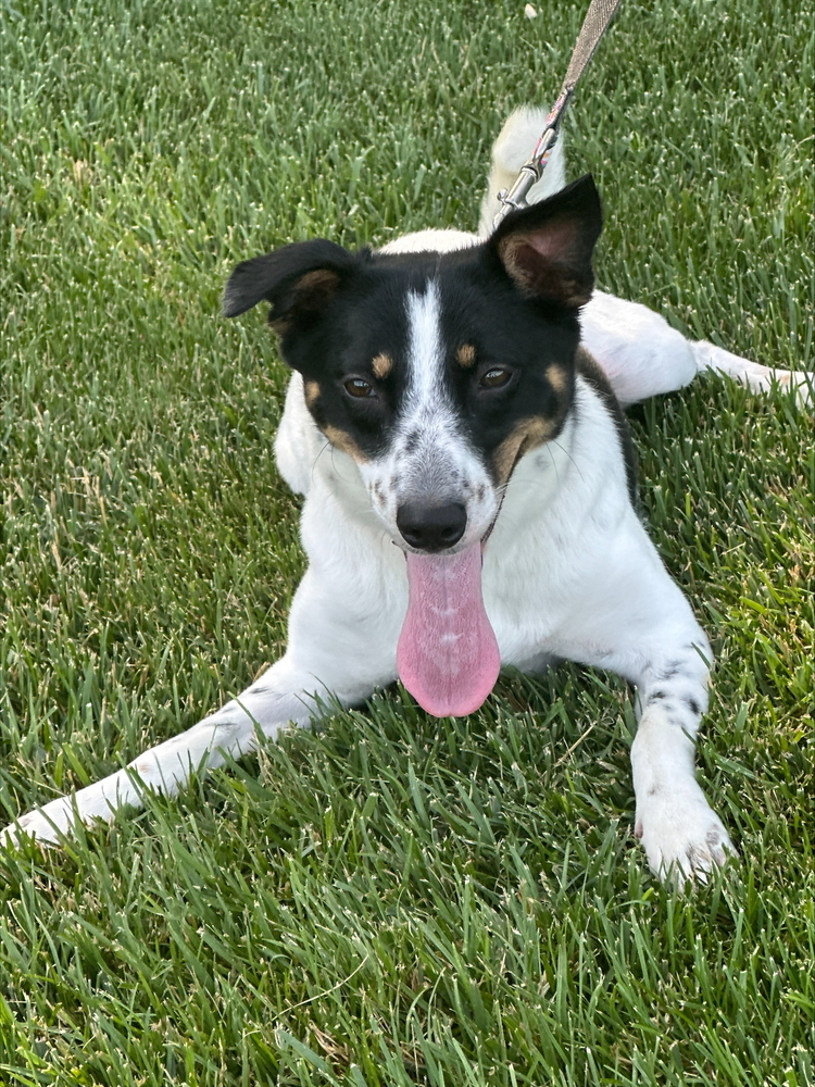 Luna