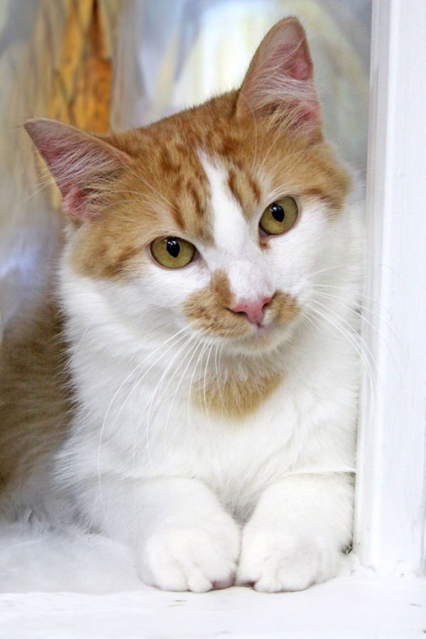Finny photo 1