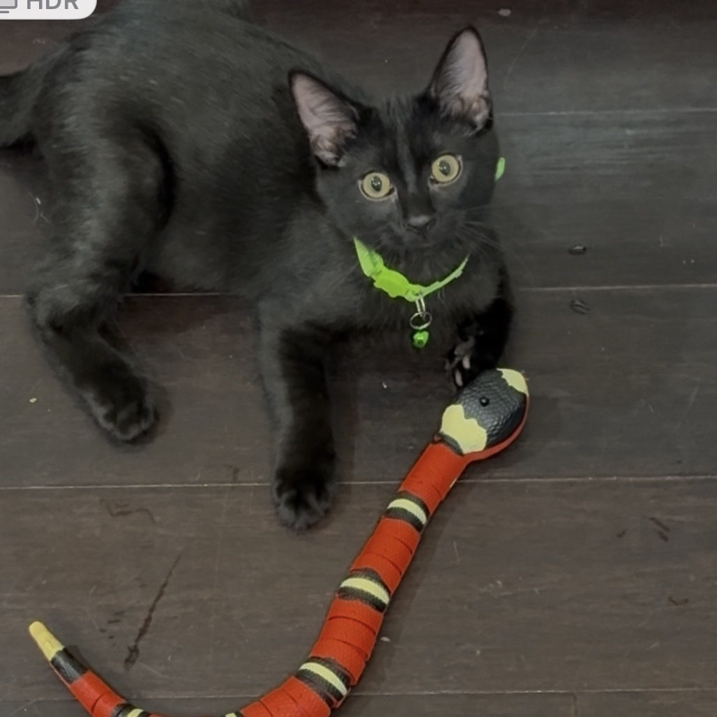 Eugene