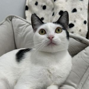 Riza, Young Female unknown