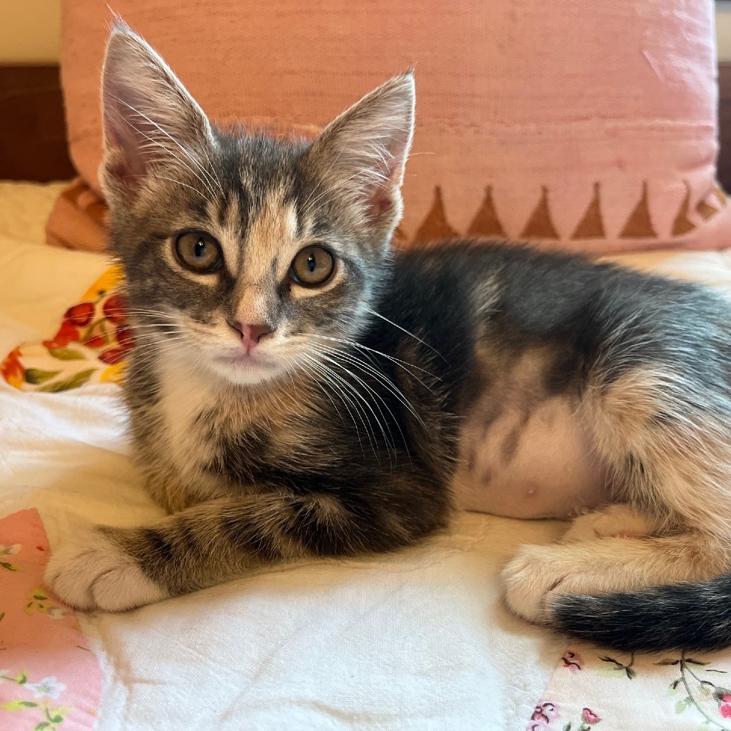 Mia