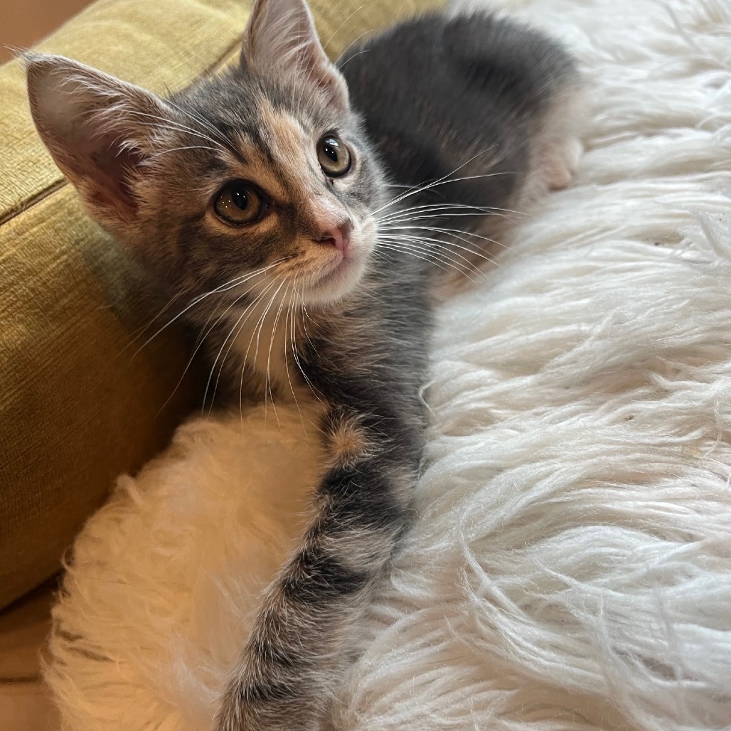 Mia