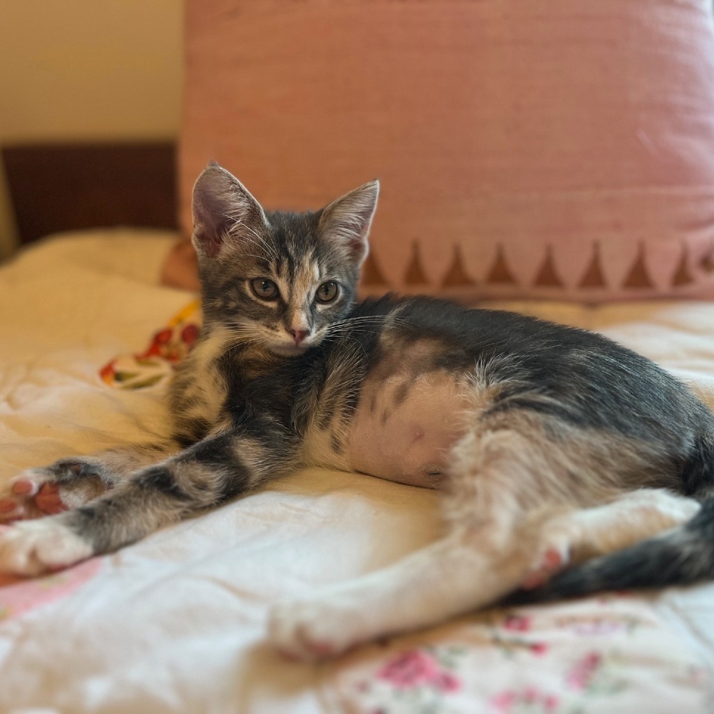 Mia