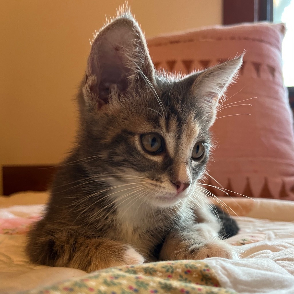 Mia
