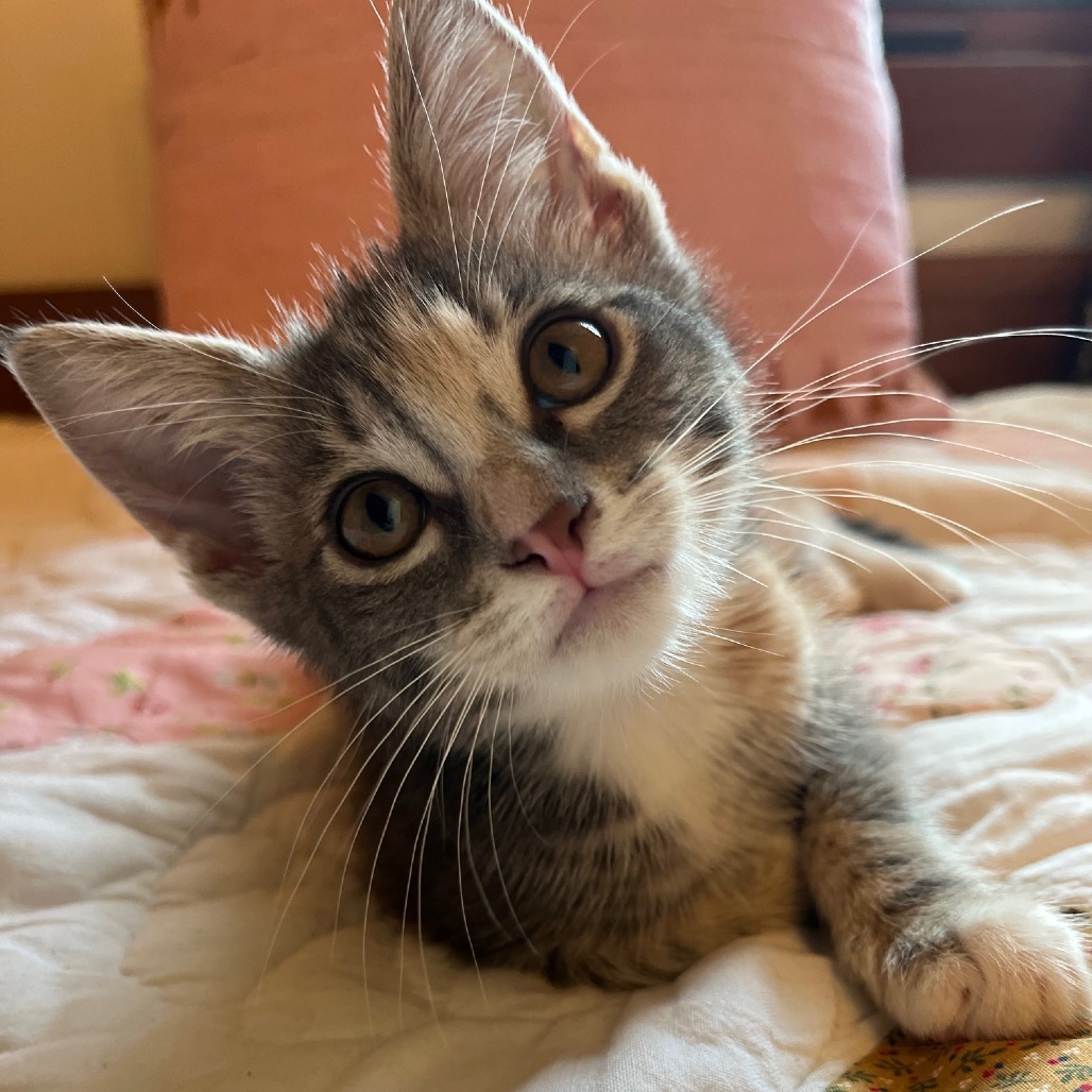 Mia