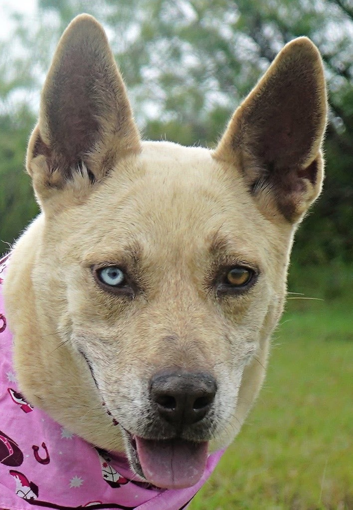 Ruthie