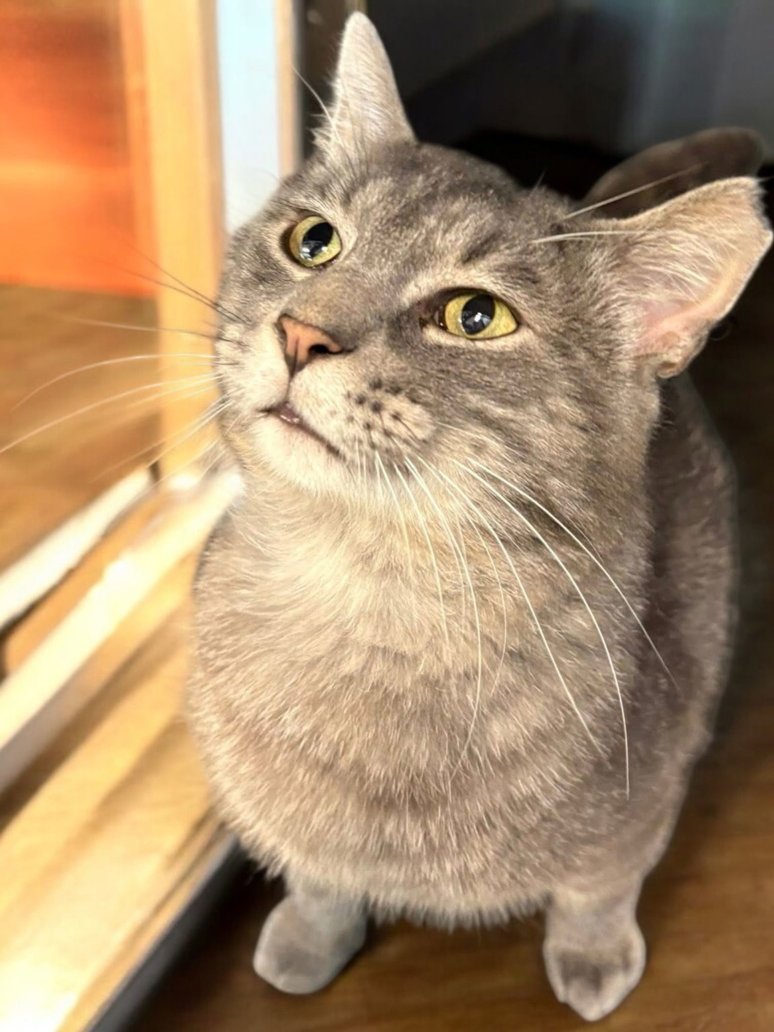 Carson