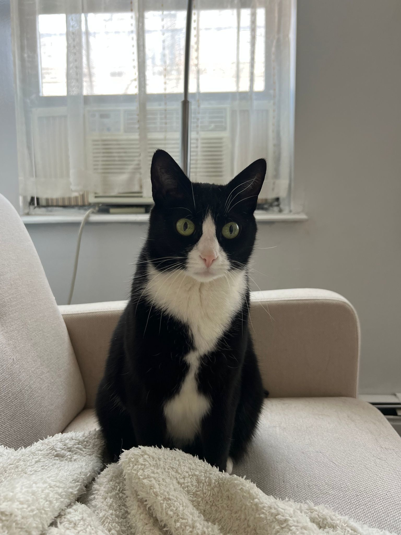 Binx