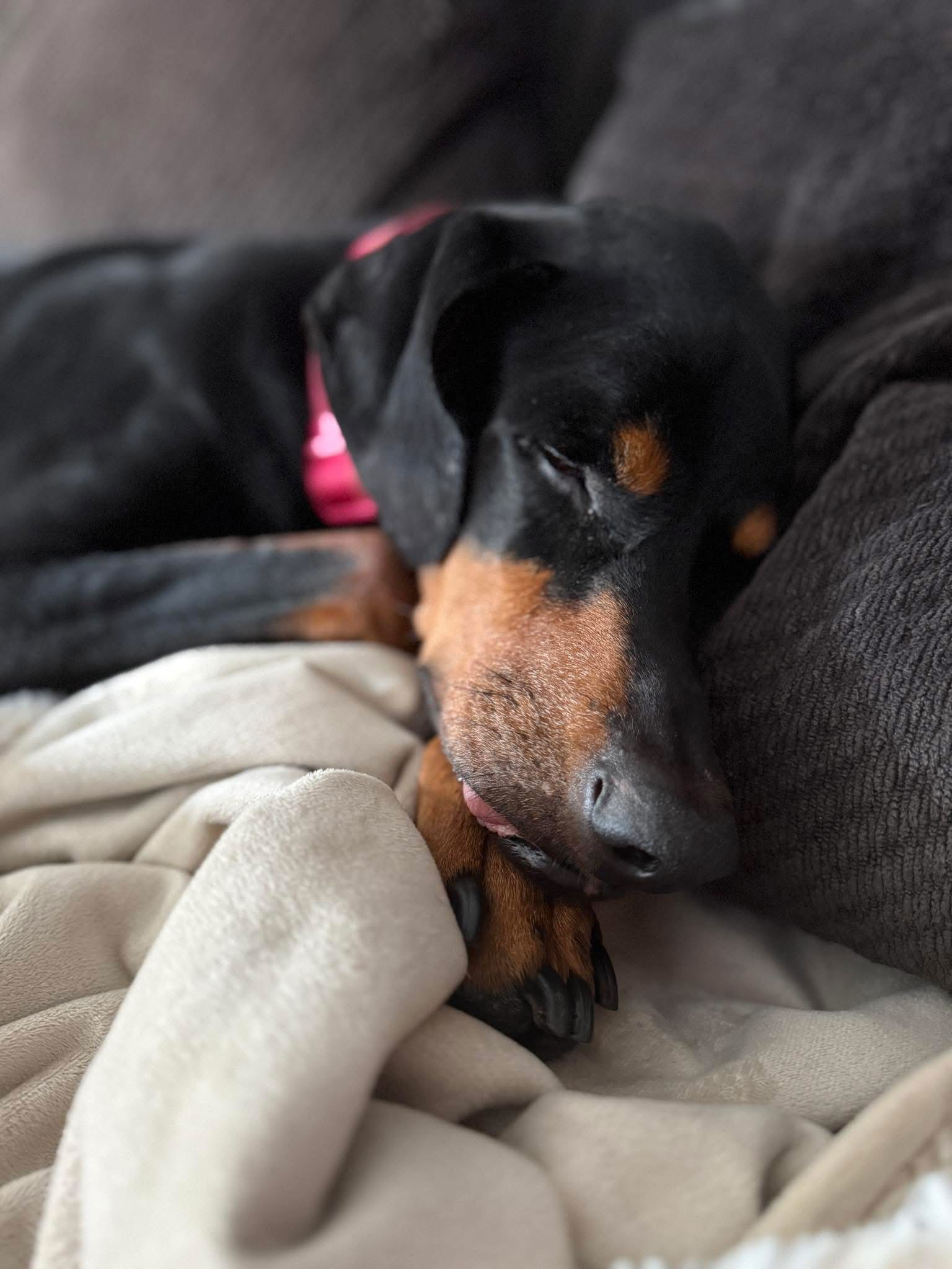 Reese