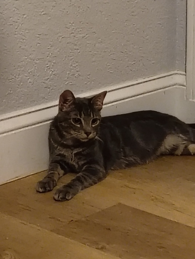 Little Tex