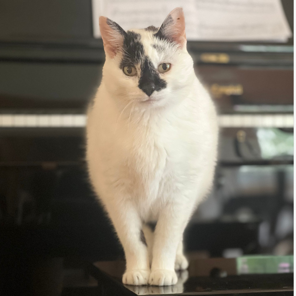 Marbles Lui