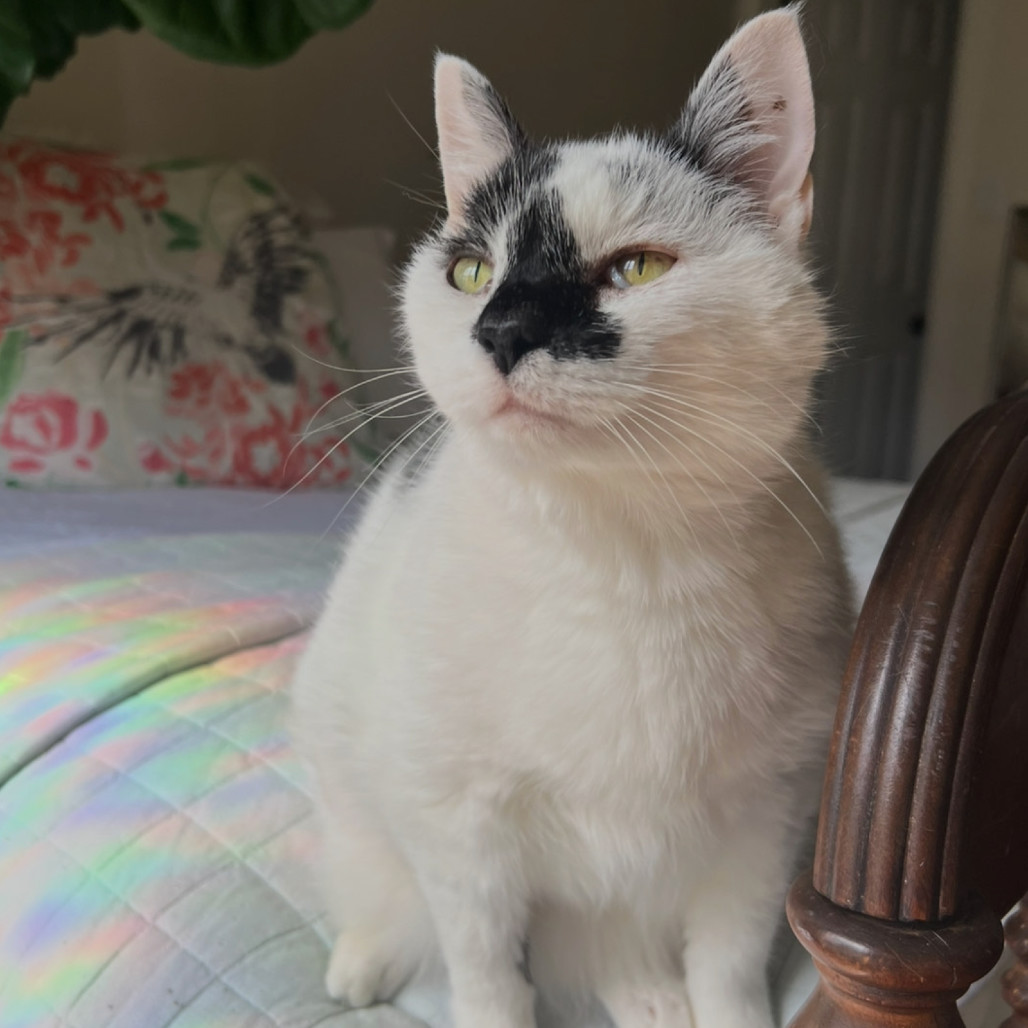 Marbles Lui
