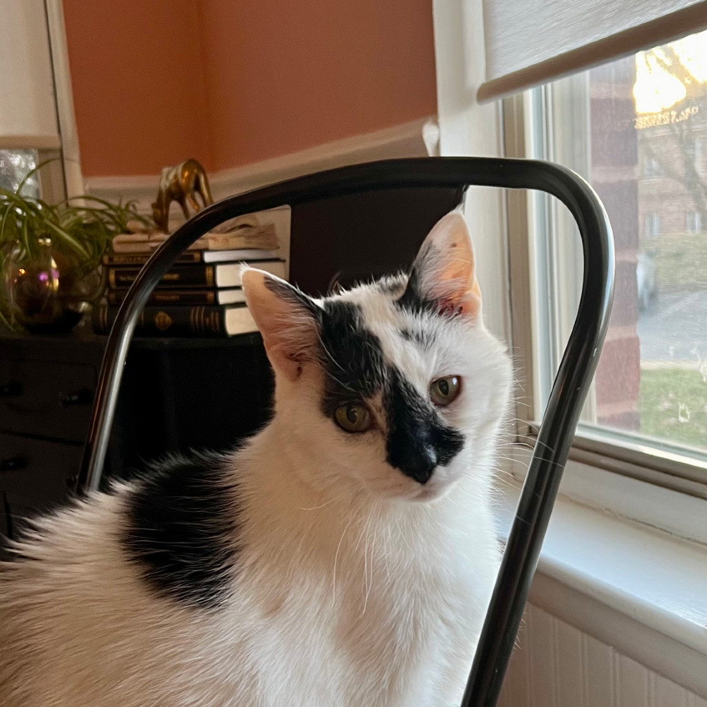 Marbles Lui