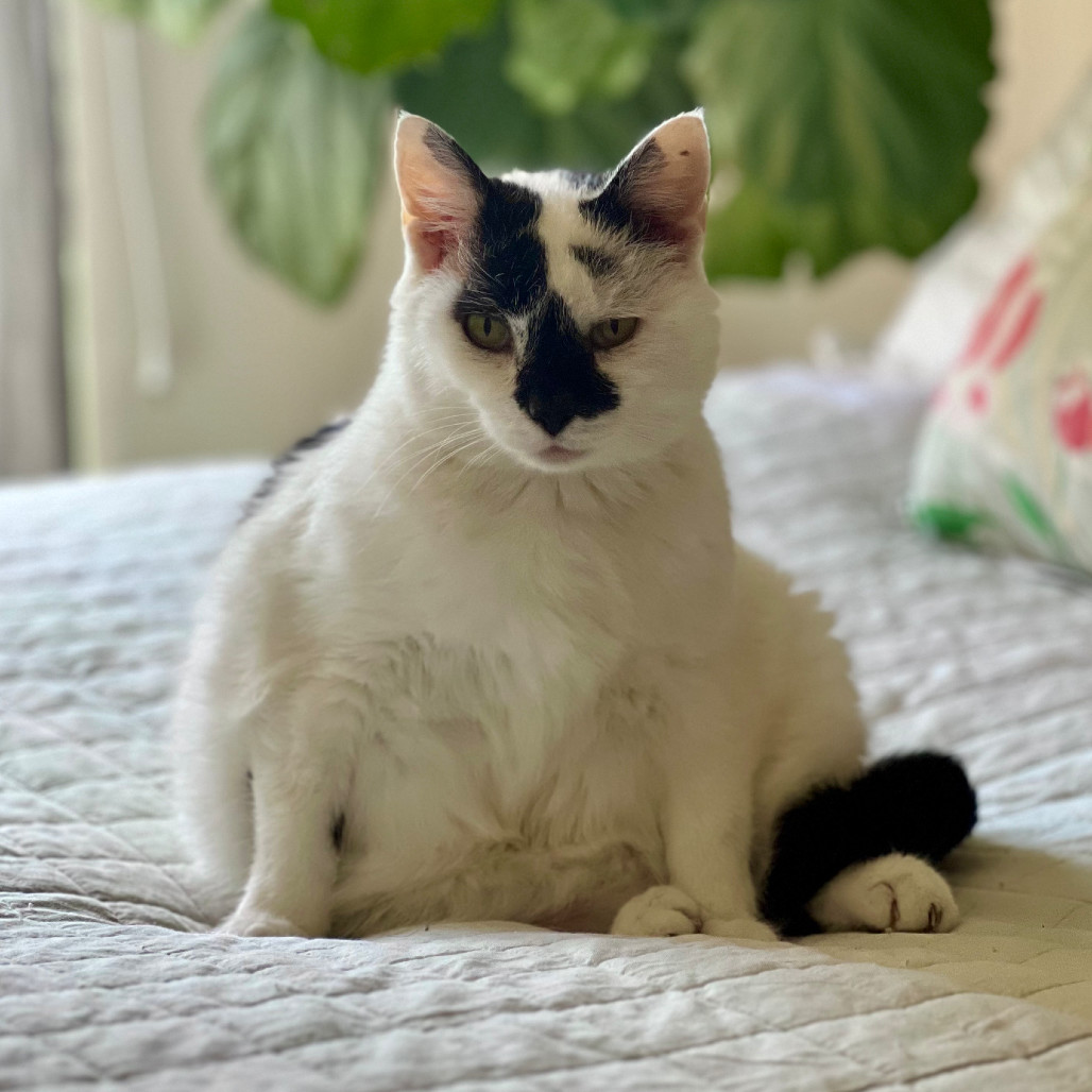 Marbles Lui