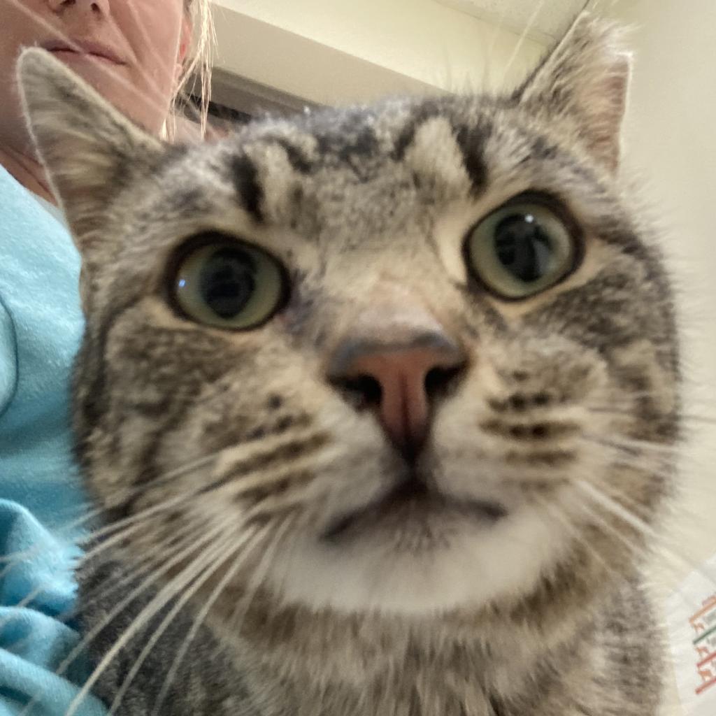 Mr. Handsome