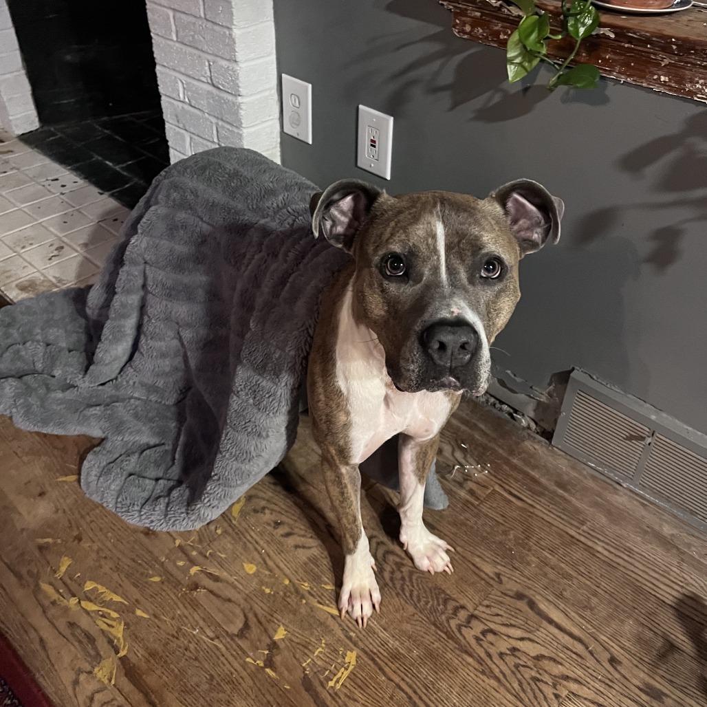 Duke