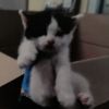 Terra photo 2