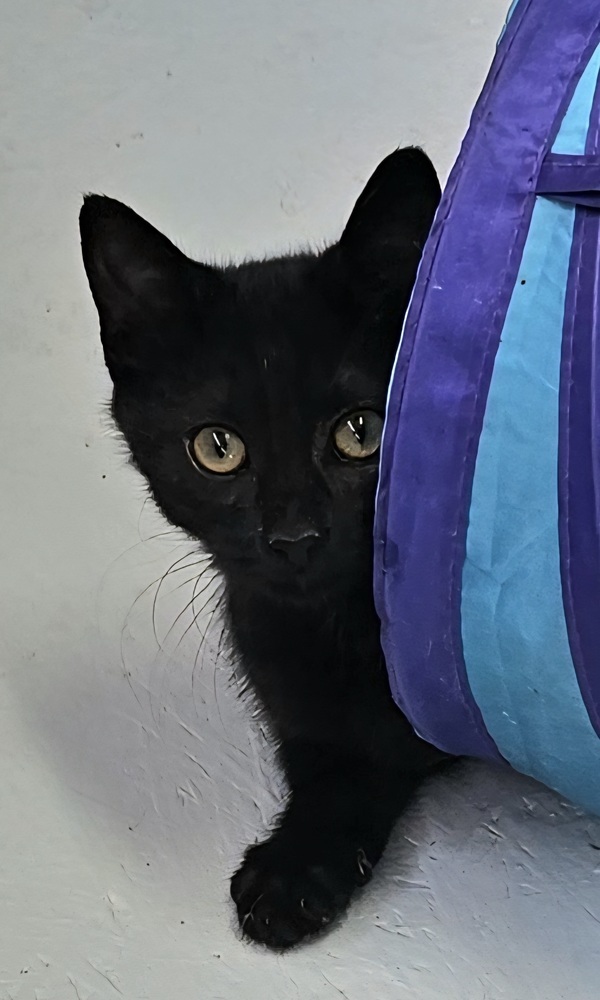 Benny