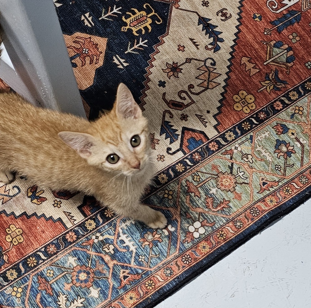 Tabasco