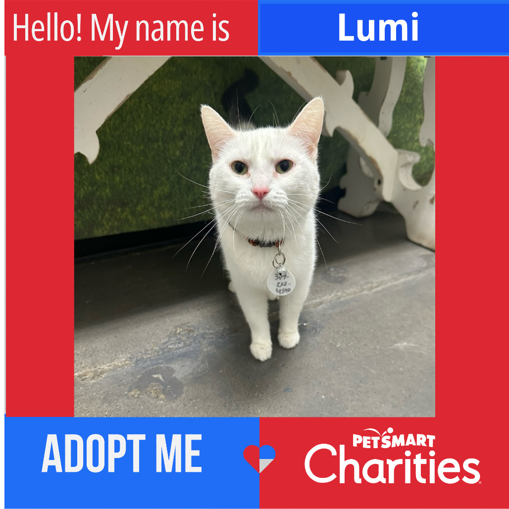 Lumi