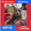 Oklahoma photo 1