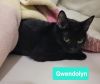Gwendolyn photo 3