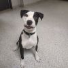 Moobert photo 5