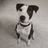 Moobert photo 6