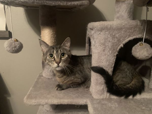 Maggie thumbnail 2