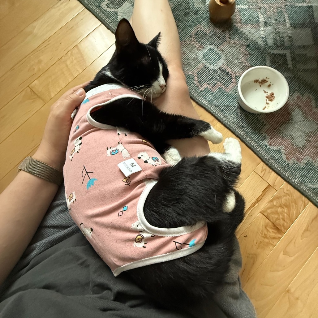 Kiki
